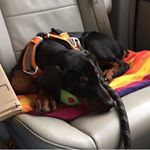 Profile Picture of Sean Gosnell (@wizard0899) on Instagram