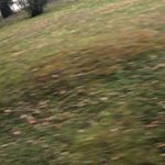 Profile Picture of Nathaniel Mcclain (@nathaniel_mcclain69) on Instagram