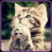 Profile Picture of Barbara Verdugo (@barbara.verdugo.90) on Facebook