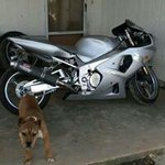 Profile Picture of Tony Lucero (@tony.lucero.790) on Instagram