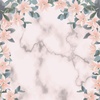 Profile Picture of Alexa Bailey (@@alexanadine17) on Tiktok