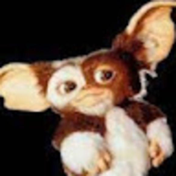 Profile Picture of Tony Gremlin (@geoteammaggi) on Poshmark