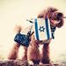 Profile Picture of Moises Cossio (@moisescossio12) on Pinterest