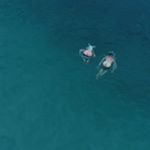 Bill Graßl - Instagram Profile Picture of Bill Graßl (@bill.grassl) on Instagram