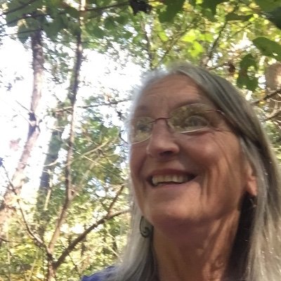 Profile Picture of Sandy Heller (@SandyHeller6) on Twitter