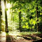 Profile Picture of Minaalizadeh 2519 (@minaalizadeh2519) on Instagram