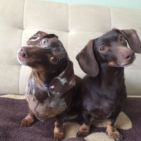 Jim Gallagher - Poshmark Profile Picture of Jim Gallagher (@jimgallagher) on Poshmark