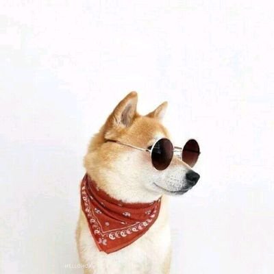 Profile Picture of Scott Lau (@ScottLau15) on Twitter