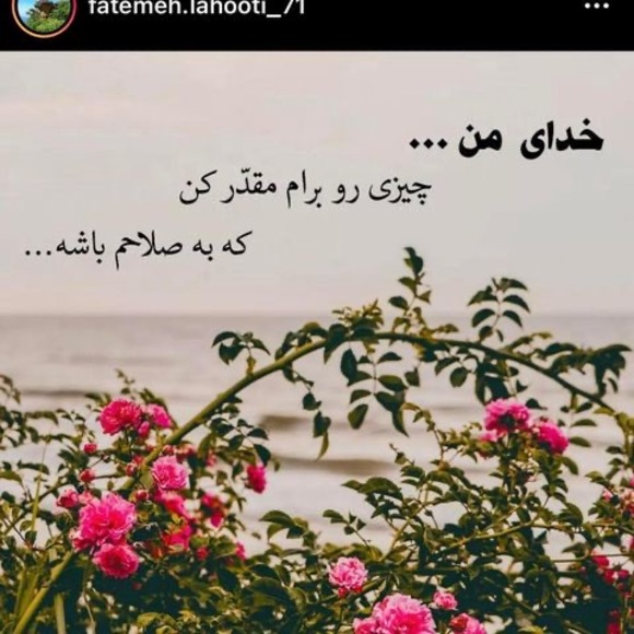 Profile Picture of Zeenat Zeenat (@z_zeenat) on Poshmark