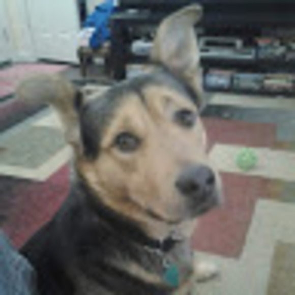 Profile Picture of Jason Gross (@jasongross516) on Poshmark