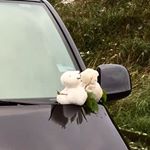 Profile Picture of Phoebe Ng (@phoebe528) on Instagram