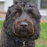 Profile Picture of jeffrey Klein (@jkleinct) on Flickr