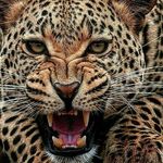 Profile Picture of Adeline Parascan (@adeli.1993) on Instagram