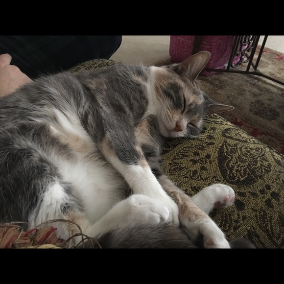 Profile Picture of Inge Martin (@reddhawt) on Poshmark