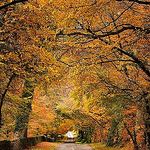 Profile Picture of Stephen Mcmullen (@stemcm74) on Flickr