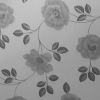 The-laceys Summer Lacey - Quora Profile Picture of The-laceys Summer Lacey (@the-laceys-summer-lacey) on Quora