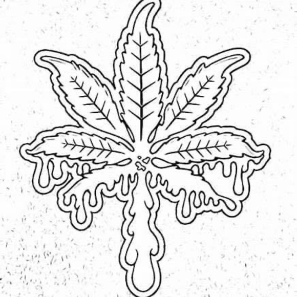 Profile Picture of John Rodriguez (@jrpeewee830) on Poshmark