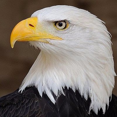 Profile Picture of Jeff Baerwald (@LMS_Princ) on Twitter