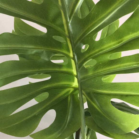 Camaya Notman - Poshmark Profile Picture of Camaya Notman (@breezythreads) on Poshmark