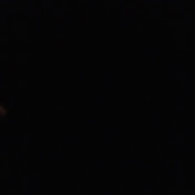 Profile Picture of Jade Healy (@jadehealy1127) on Youtube