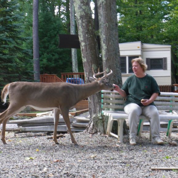 Alison Arpen - Poshmark Profile Picture of Alison Arpen (@aearpen) on Poshmark