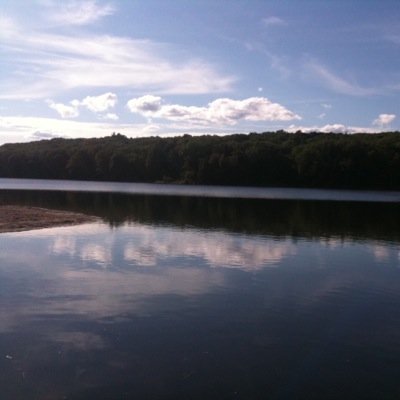 Profile Picture of Michael Feldstein (@majy10016) on Twitter