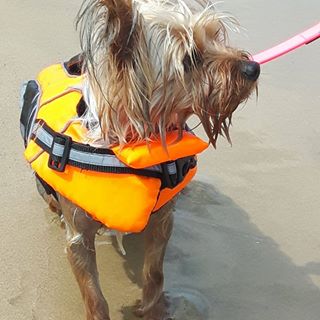 Abbi Vizer - Facebook Profile Picture of Abbi Vizer (@Abbi-Vizer) on Facebook