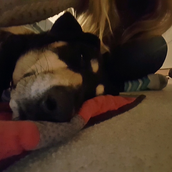 Erin Zeiter - Poshmark Profile Picture of Erin Zeiter (@erinthebunny) on Poshmark