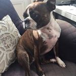 Hannah Goodwin - Instagram Profile Picture of Hannah Goodwin (@hannahigoodwin) on Instagram