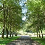 Profile Picture of Justin Van Noy (@vannoyjustin22) on Instagram