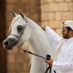 Profile Picture of Nasser Al-Mansouri🇶🇦 (@almnsouri) on Instagram