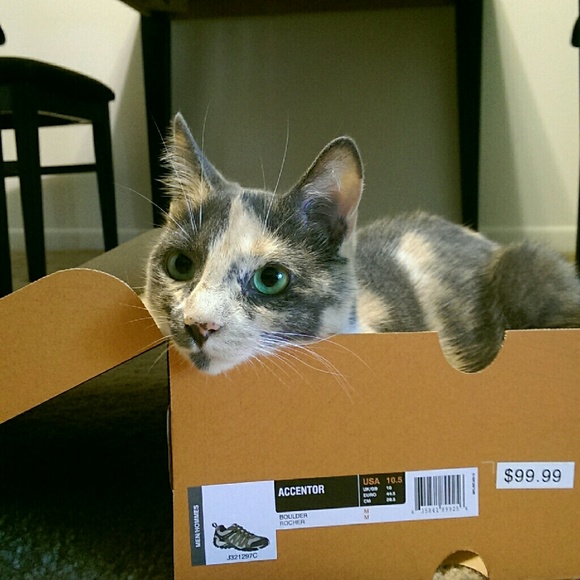 Profile Picture of Kelly Fiorino (@kfiorino) on Poshmark