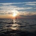 Profile Picture of Jimmy Bice469 (@user2103249756673) on Tiktok