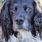 Profile Picture of Alison Steer (@alison.steer.923) on Facebook