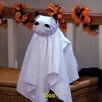 Profile Picture of Zahid Alexander Gomez Gonzalez (@zahisdalexander) on Flickr