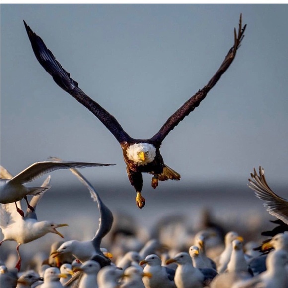 Profile Picture of Stephen Kerr (@sjkerr25) on Poshmark