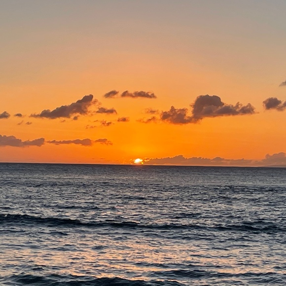 Profile Picture of Lupe Oropeza (@loropeza631) on Poshmark