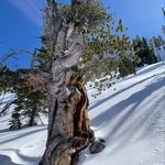 Profile Picture of Brian Peters (@westcentralsolitude) on Instagram