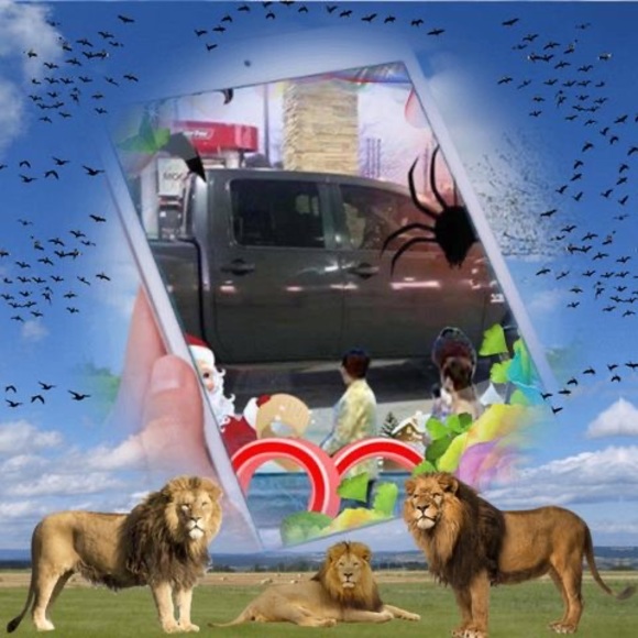 Profile Picture of Rigoverto zavaleta Zavaleta (@cobrehart12) on Poshmark