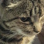 Sandy McGee - Instagram Profile Picture of Sandy McGee (@fromheretoeternity58) on Instagram