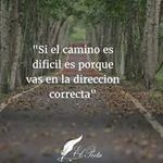 Profile Picture of Fide Paramo Calderon (@fideparamoc) on Instagram