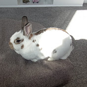 Profile Picture of Amanda Simpson (@amandasimpson5147) on Youtube