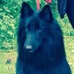 Profile Picture of Richard Lewandowski (@richard.lewandowski) on Instagram