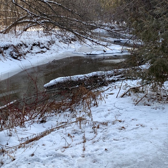 Profile Picture of Nancy Aldred (@nancyaldred) on Poshmark