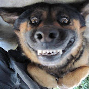 Profile Picture of Shawn Reyes (@shawnreyes5843) on Youtube