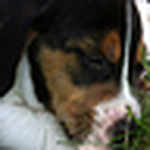 Themightygrace - Flickr Profile Picture of Themightygrace (@themightygrace) on Flickr