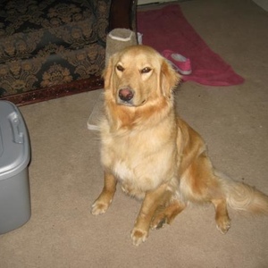 Profile Picture of Bert Hulet (@bert.hulet) on Myspace