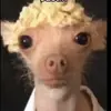 Profile Picture of Casey Keane (@caseykeane0) on Tiktok