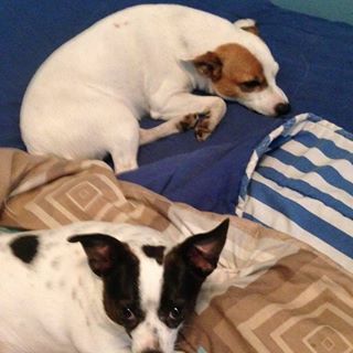 Profile Picture of Jeffrey Spaargaren (@jeffrey.spaargaren) on Facebook