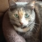 Profile Picture of Antonell Gray (@antonell.gray) on Facebook